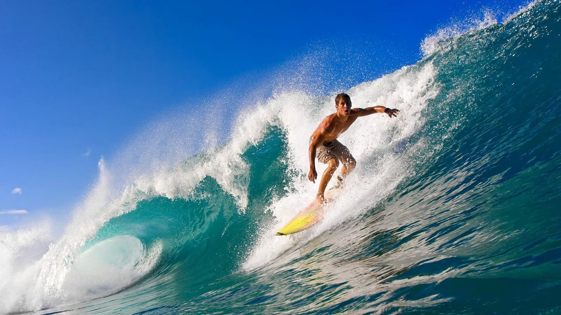 跳水稳定输出奥地利锁定奖牌，奥运跳水得分规则